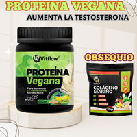 TESTOFULL - PROTEINA VEGANA + OBSEQUIO COLÁGENO MARINO