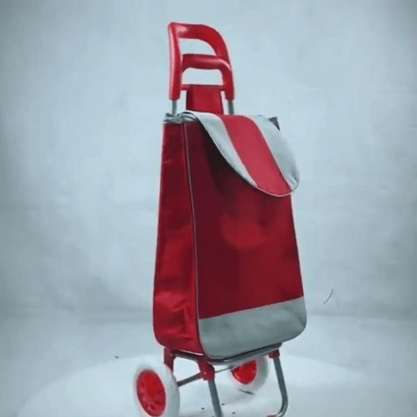 CARRITO DE COMPRAS + ¡50% OFF! + ENVÍO GRATIS