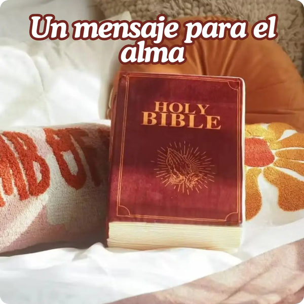 ALMOHADA DE PELUCHE CON FORMA DE BIBLIA