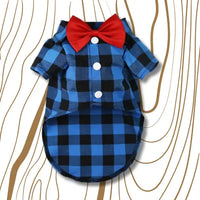 Trajes Para Mascotas®