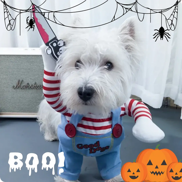 DISFRAZ DE CHUCKY PARA TU PERRO ¡CONVIERTE A TU MASCOTA EN UNA LEYENDA DEL TERROR🔪¡