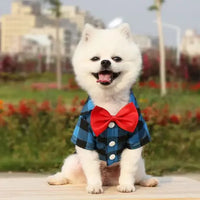 Trajes Para Mascotas®