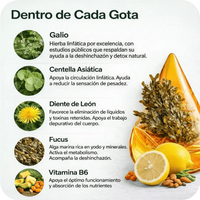 DrenaFit™ | Drena Naturalmente la Hinchazón del Rostro, Abdomen y Piernas