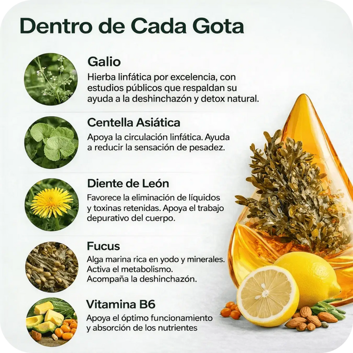 DrenaFit™ | Drena Naturalmente la Hinchazón del Rostro, Abdomen y Piernas
